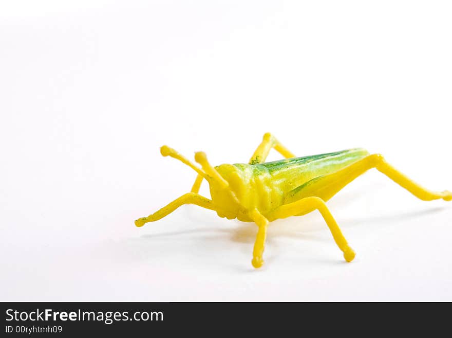 Grasshopper