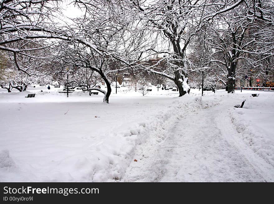 Stock image of a snowing winter at Boston, Massachusetts, USA. Stock image of a snowing winter at Boston, Massachusetts, USA