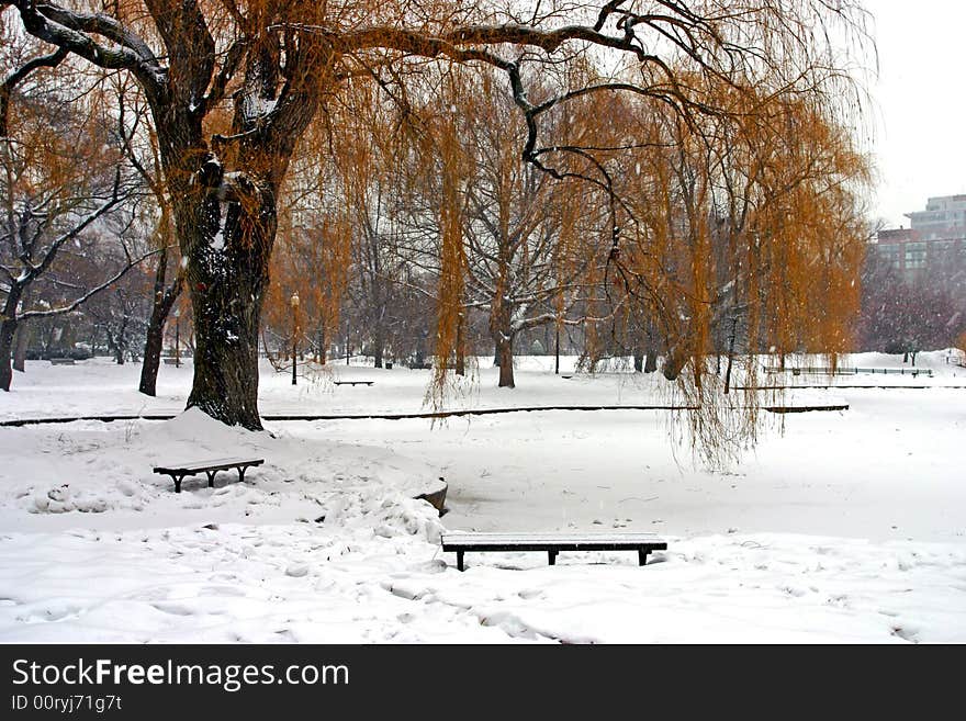 Stock image of a snowing winter at Boston, Massachusetts, USA. Stock image of a snowing winter at Boston, Massachusetts, USA