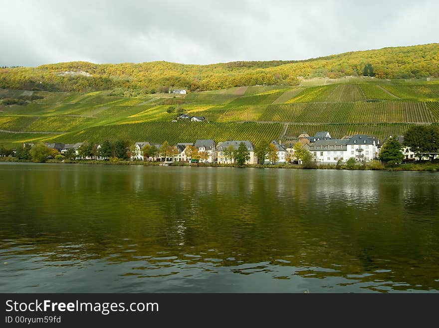 Vineyards at the German Mosel