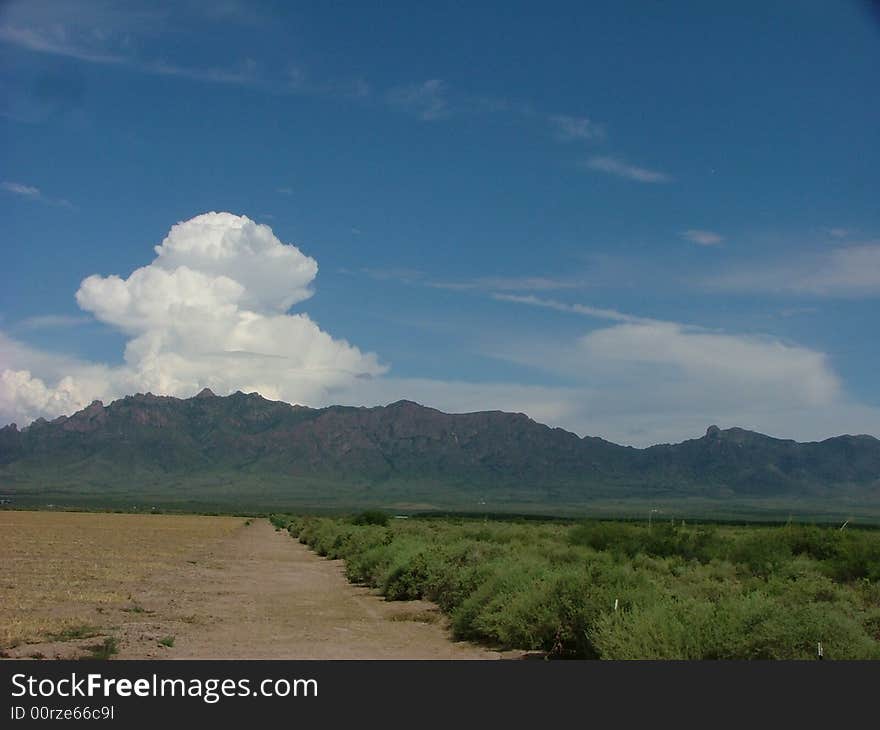 New Mexico Mountains