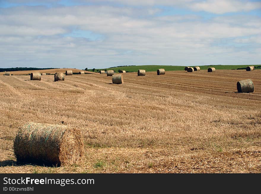 Bails of Hay in the Fields