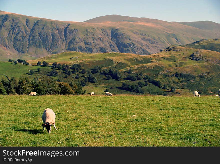 View of the Lake District mountains from Castlerigg near Keswick (England). View of the Lake District mountains from Castlerigg near Keswick (England)