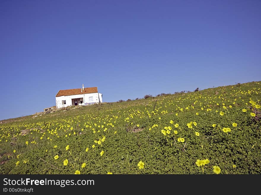 Old portuguese house in the flowering fields in springtime in Portugal against a blue sky