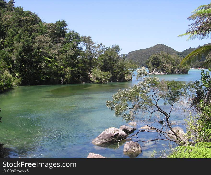 Abel Tasman s Greens And Blues