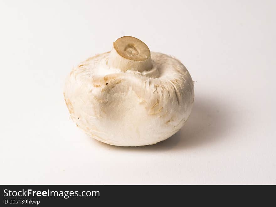 Champignon mushroom with white background. Champignon mushroom with white background