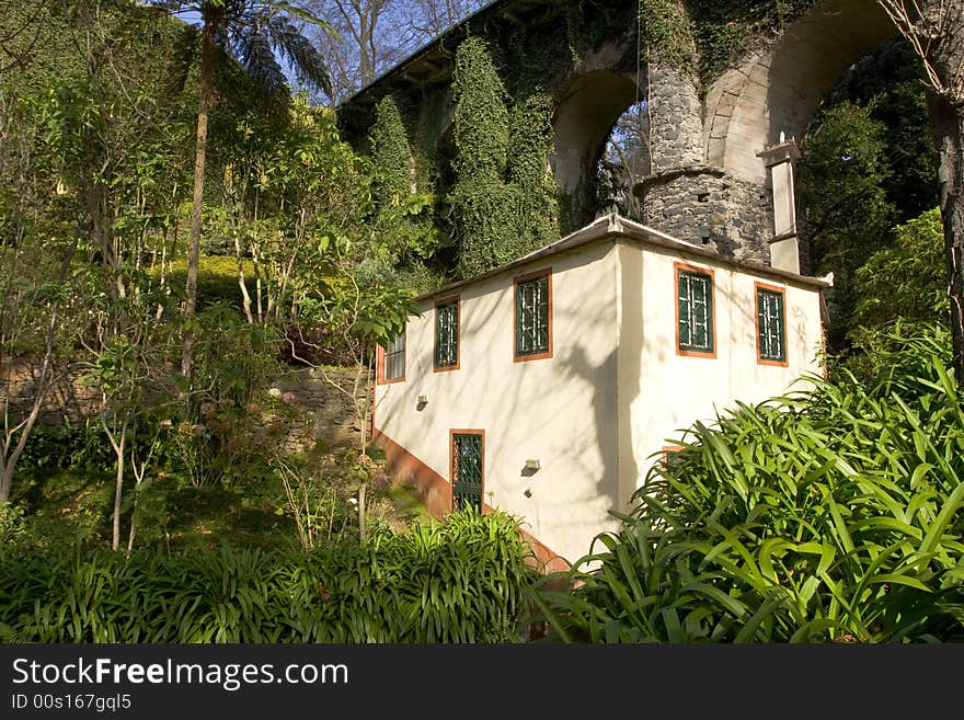 Garden In Madeira