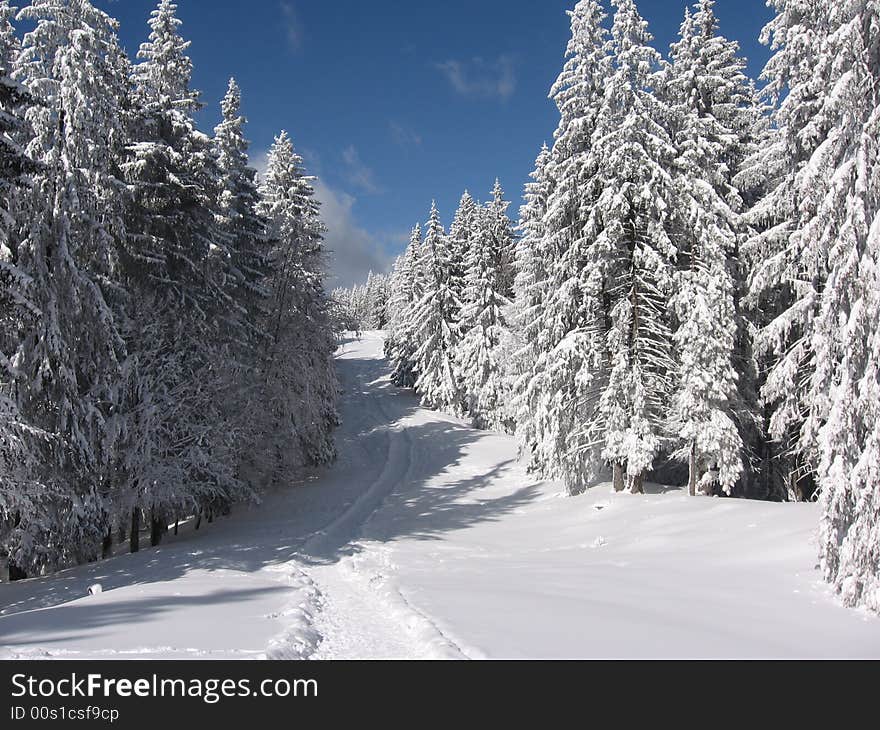 A trip on the romanian mountains. A trip on the romanian mountains