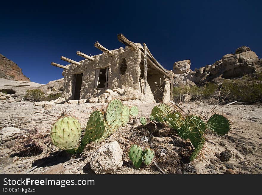 A cactus in the desert near an abandoned adobe hut. A cactus in the desert near an abandoned adobe hut