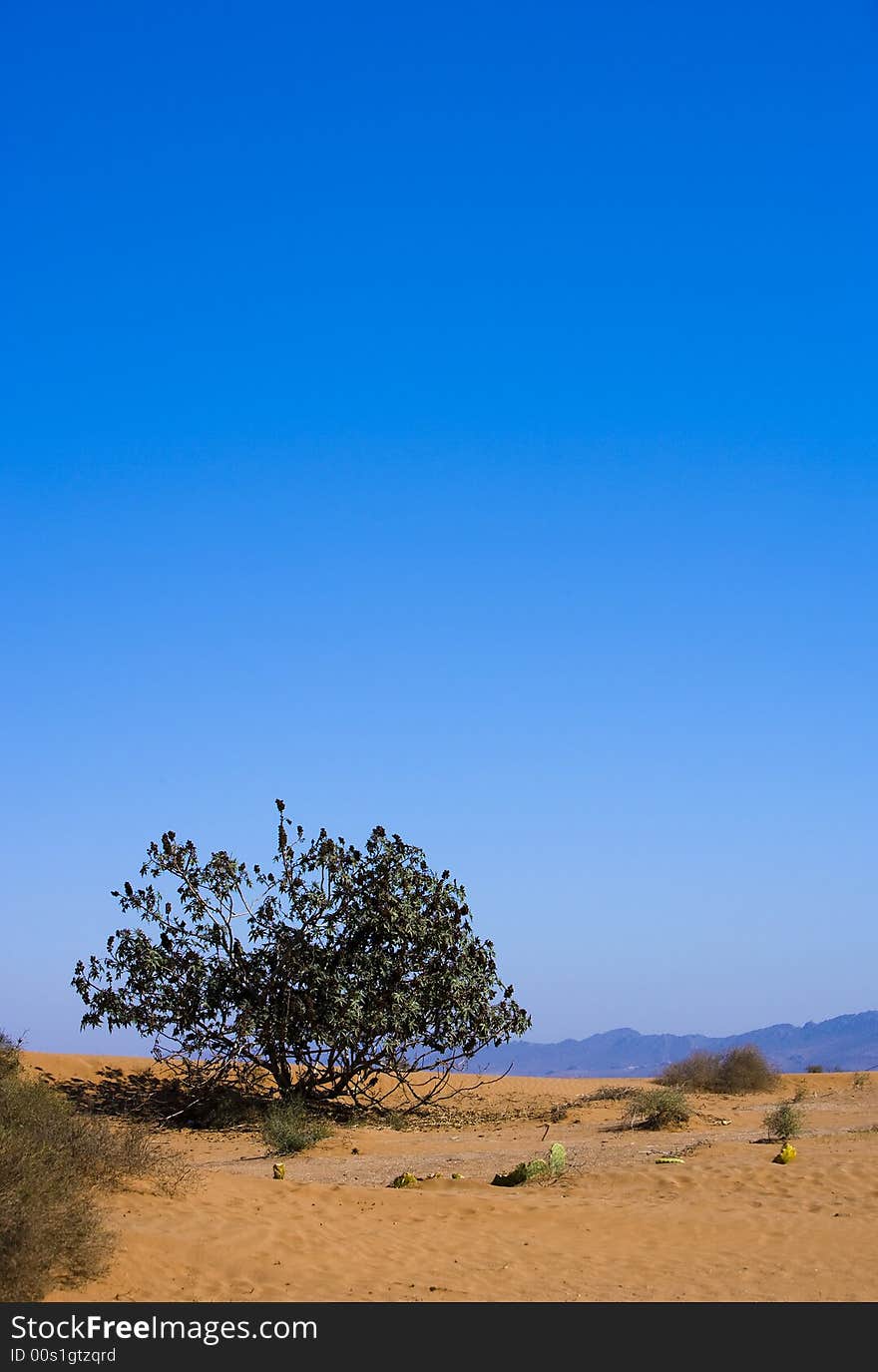 The Sahara desert, Morocco, Africa