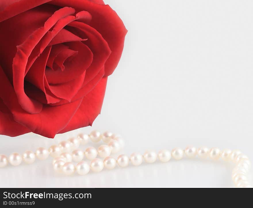 Red Rose And White Pearl