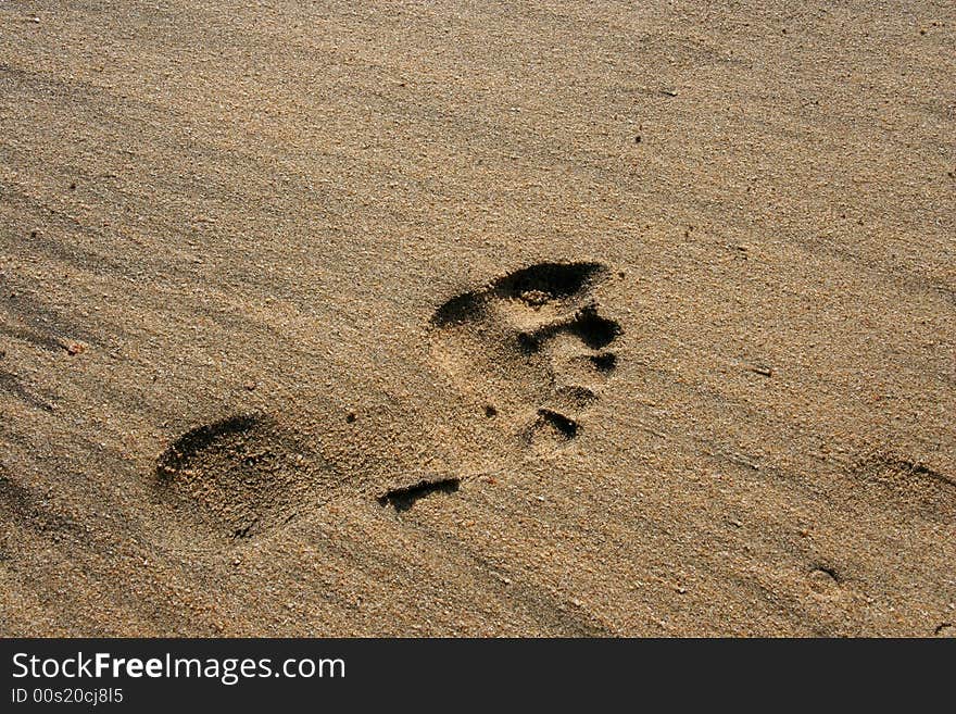 Isolated human footprint on beach sand