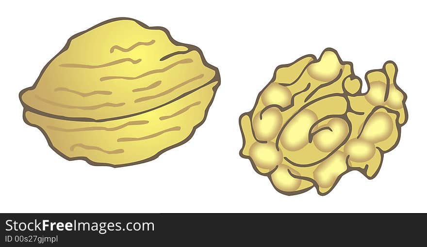 Art illustration of two nuts