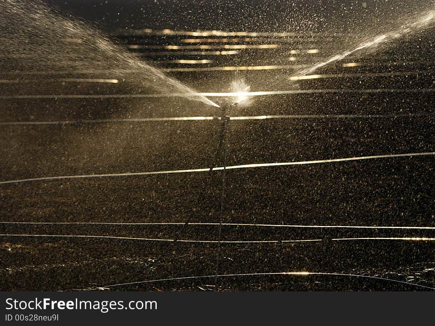 Sprinklers are irrigating a vegetable field. Sprinklers are irrigating a vegetable field