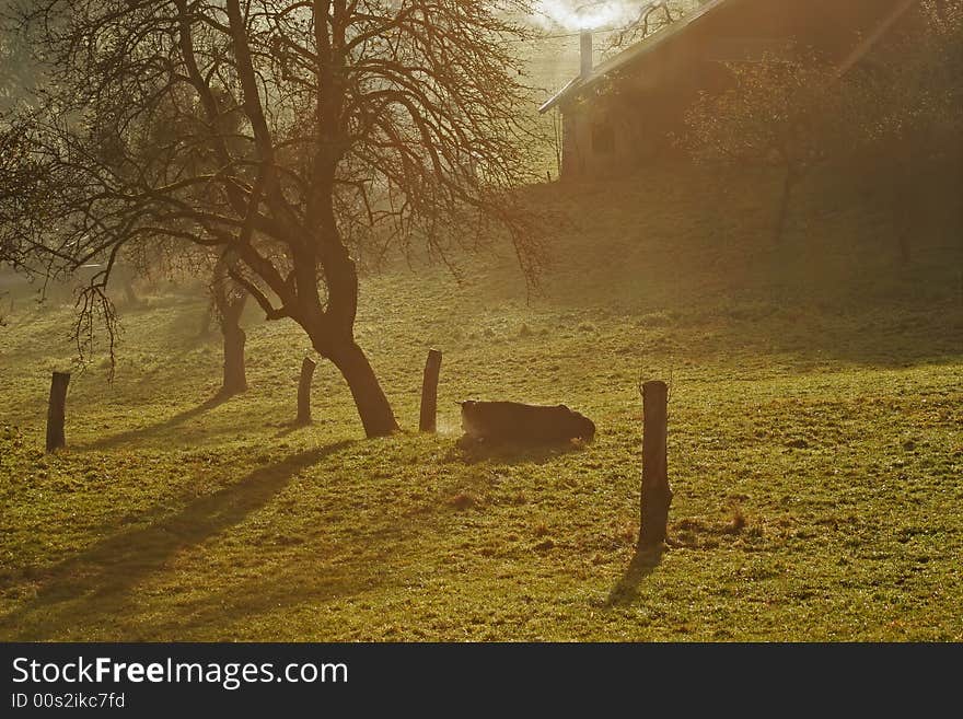 Landscape with fog