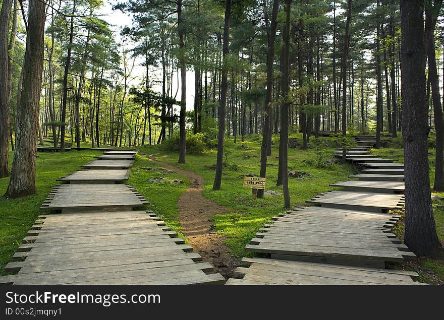 Forest of Guiyang