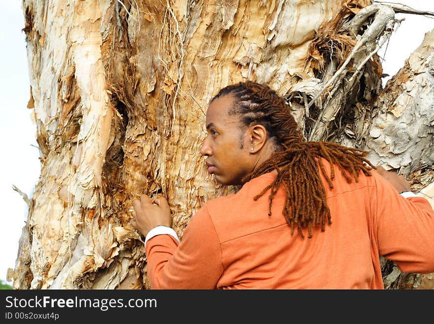 Man Climbing a Tree