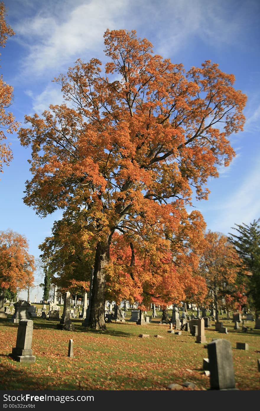 A local Nashville Cemetery in Mid Autumn. A local Nashville Cemetery in Mid Autumn