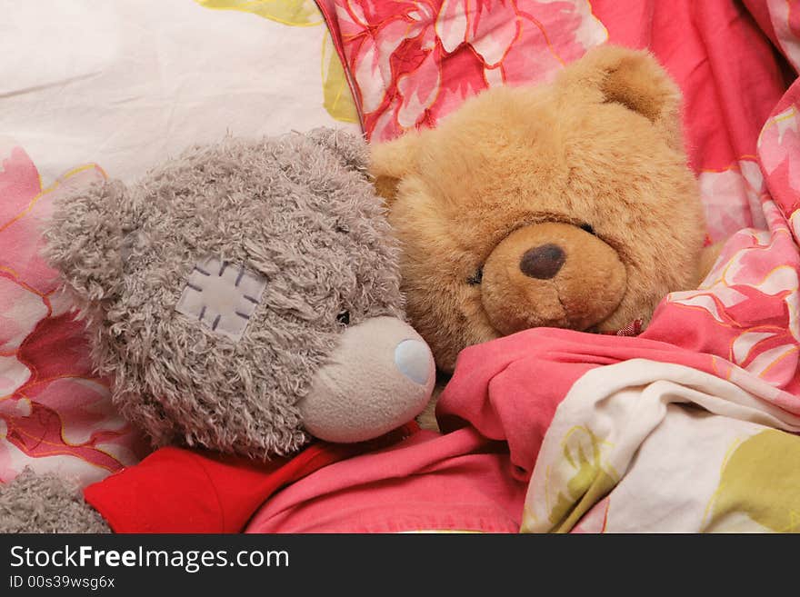 Two lovely sleepy bears in the bed. Two lovely sleepy bears in the bed