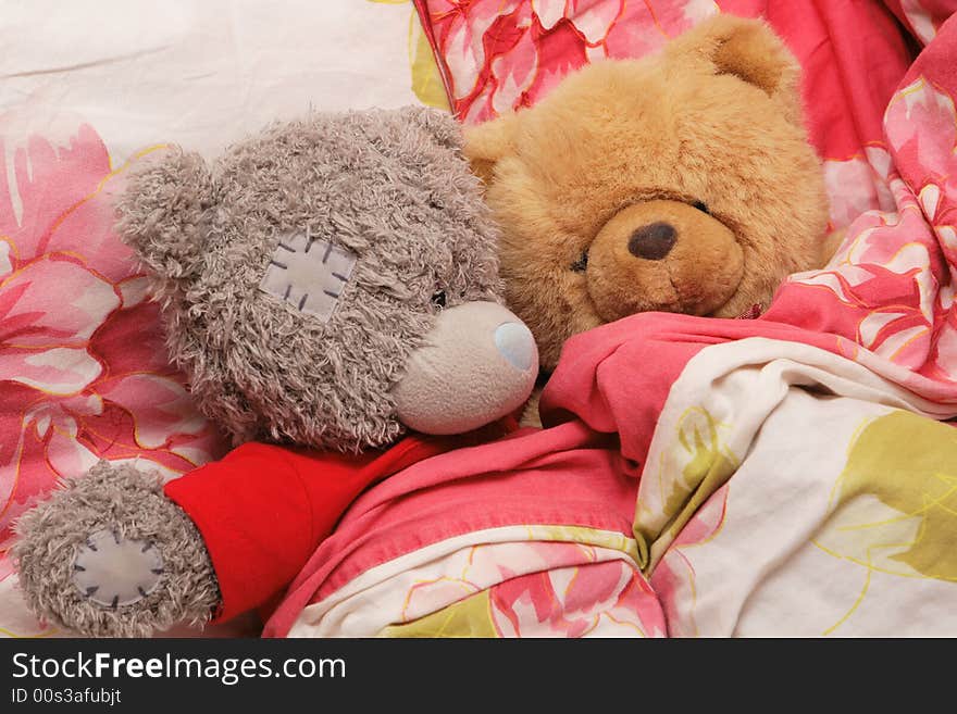 Two lovely sleepy bears in the bed. Two lovely sleepy bears in the bed