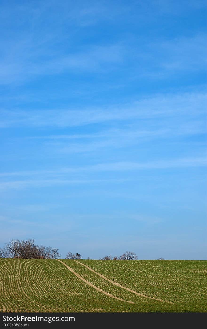 Landscape view. Road to sky.