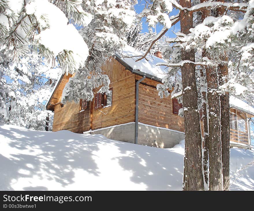 Wooden cottage in the forest between the snow covered pine trees. Wooden cottage in the forest between the snow covered pine trees