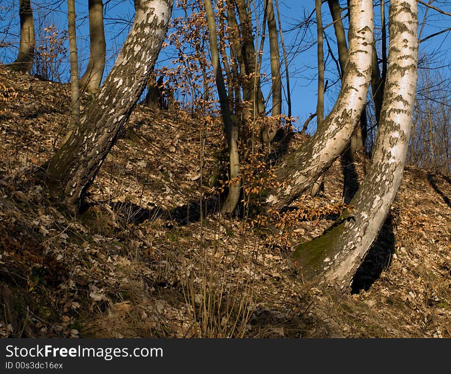 Picture taken during uphill walking in the National park in Krkonose in Czech Republic. Picture taken during uphill walking in the National park in Krkonose in Czech Republic