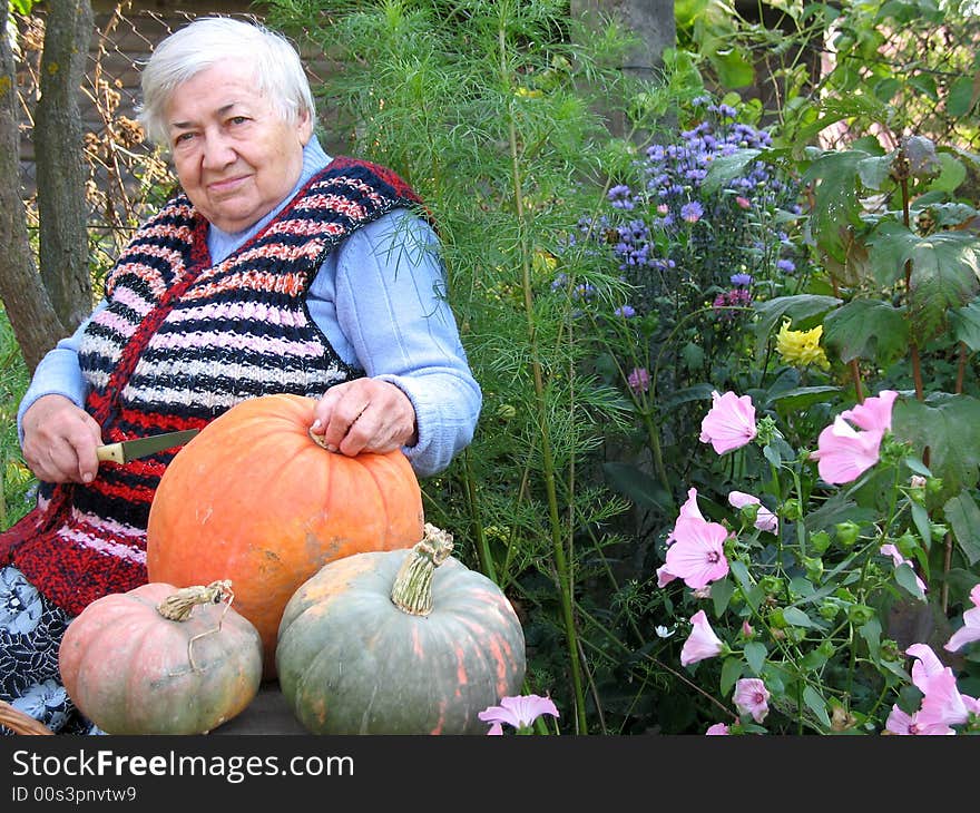 The old woman is sitting on the bench and cutting the pumpkins. The old woman is sitting on the bench and cutting the pumpkins