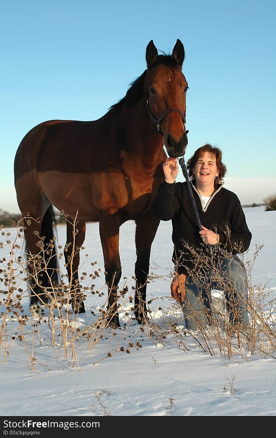 Woman with horse in snowy field in winter. Woman with horse in snowy field in winter.