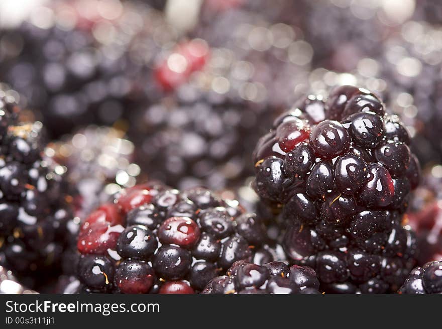 Macro Blackberries with Water Drops