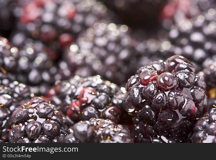 Macro Blackberries with Water Drops