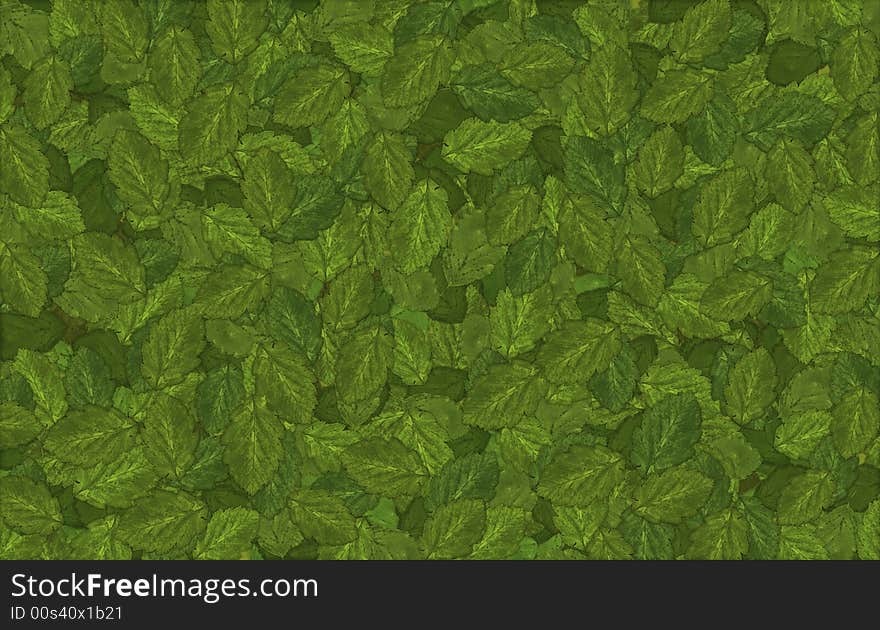 Large file of leaves - summer background. Large file of leaves - summer background