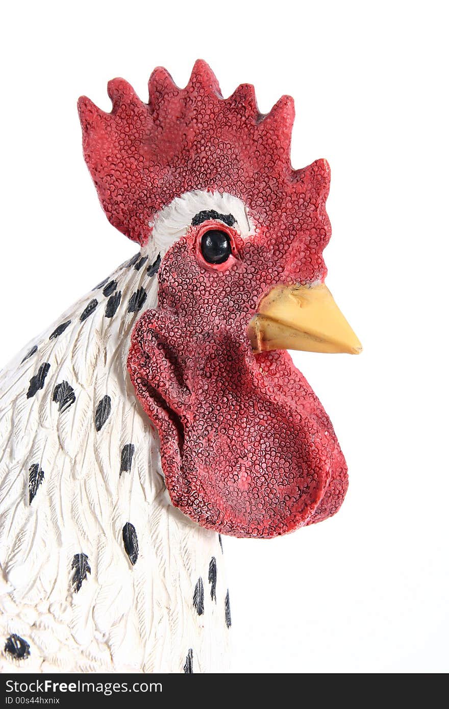 A head of red rooster