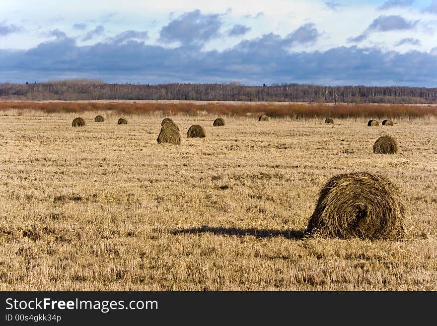 Country With Hayricks