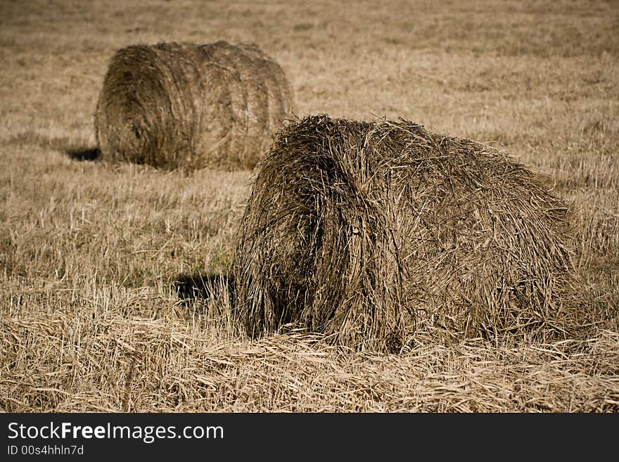 Two hayricks on the country