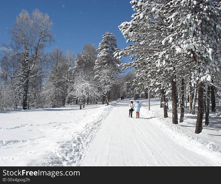 Winter walks