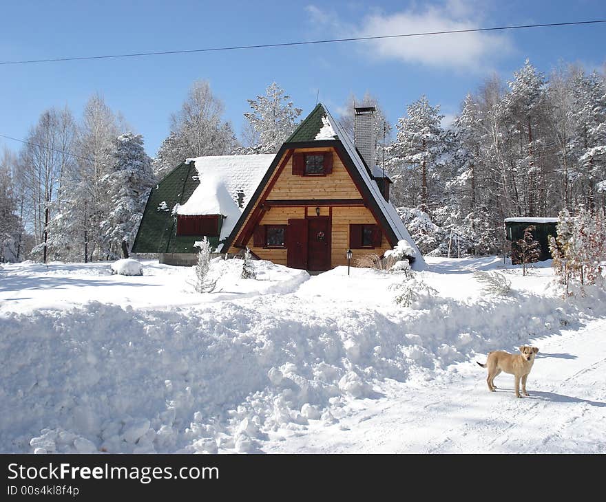 Wooden cottage hidden in the forest between the snow covered pine trees. Wooden cottage hidden in the forest between the snow covered pine trees