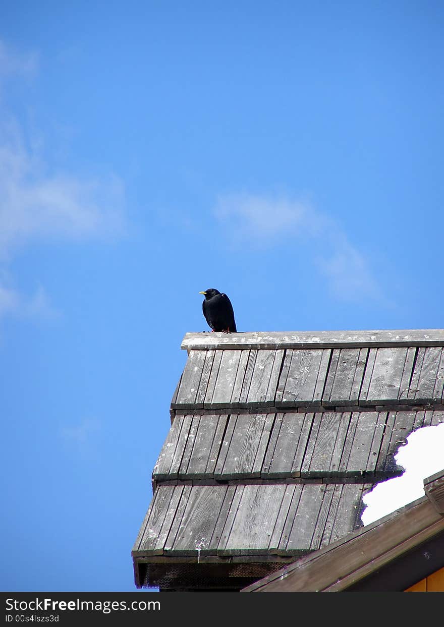 Black crow sitting on an alpine hut roof, beautiful sky background (with space for text)