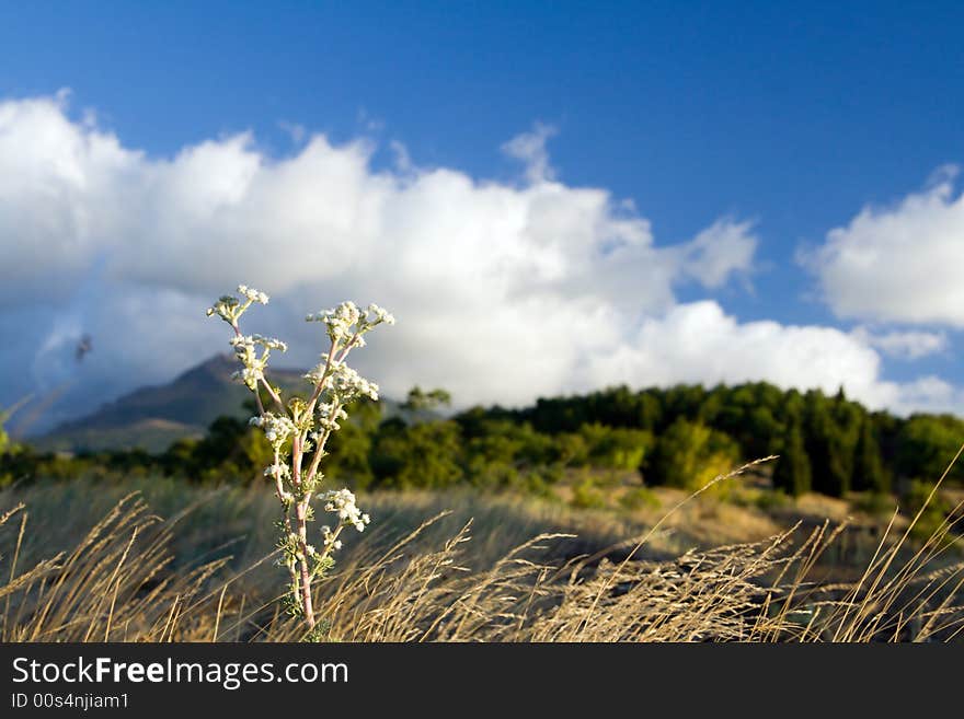 Mountains Of Crimea