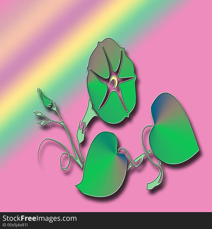 Morning glories on bright pink and green gradient background. Morning glories on bright pink and green gradient background