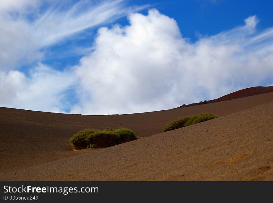 Dunelike landscape on the vulcanic Canary island of Lanzarote. Dunelike landscape on the vulcanic Canary island of Lanzarote