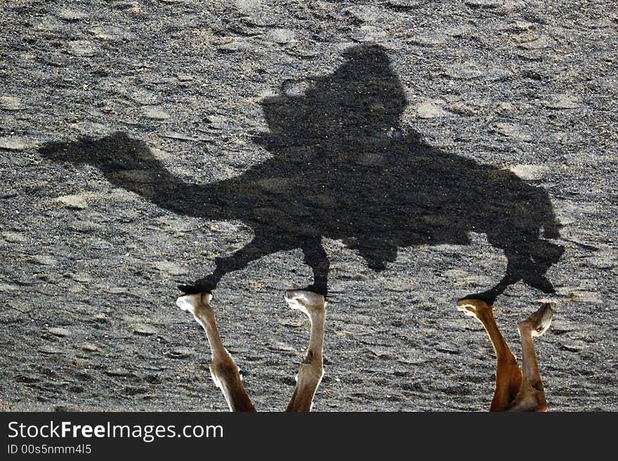 Shadow of a camel and rider. Shadow of a camel and rider