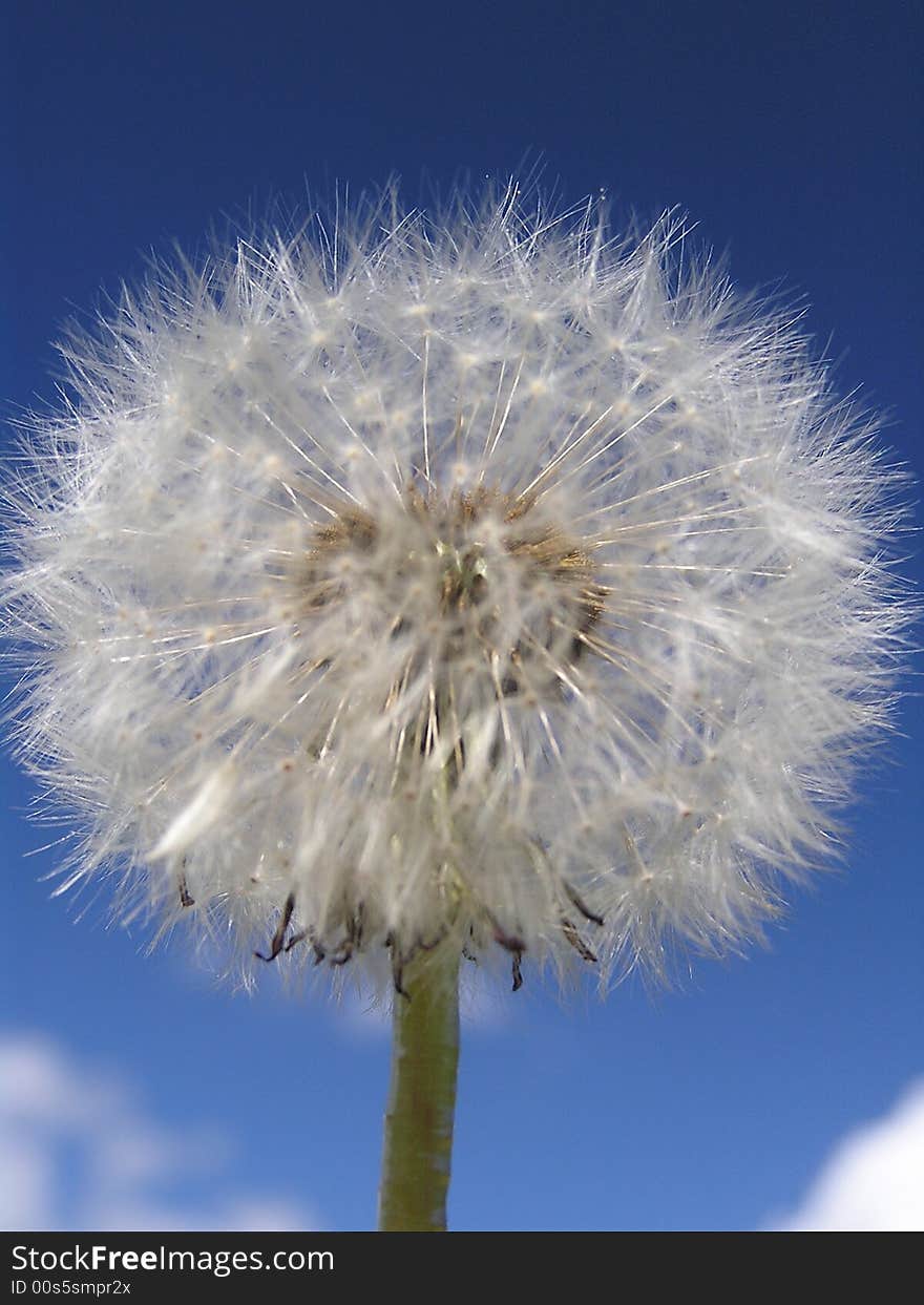 Clouds and sky, and a flower inside. Clouds and sky, and a flower inside