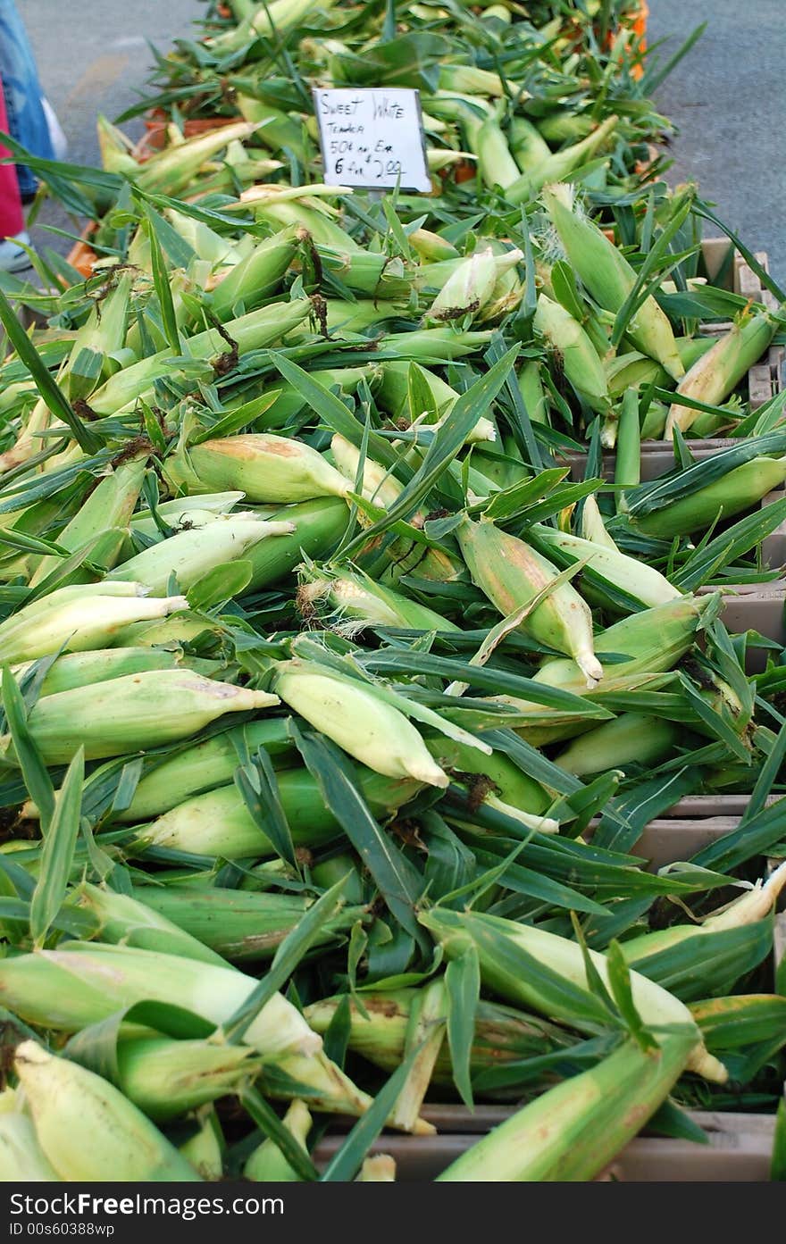 Stack of corn ears at the Farmers market. Stack of corn ears at the Farmers market