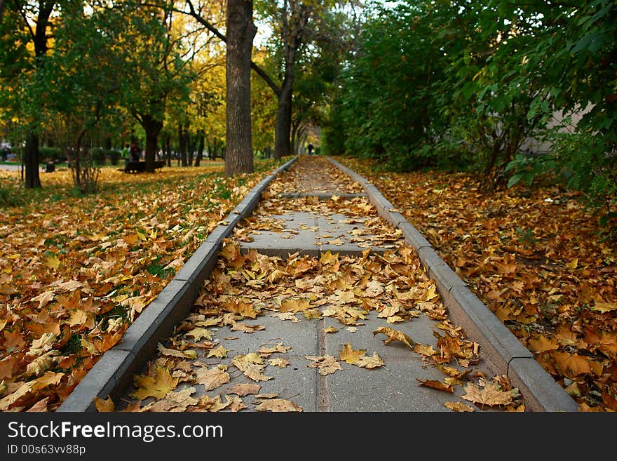 Track in the autumn park