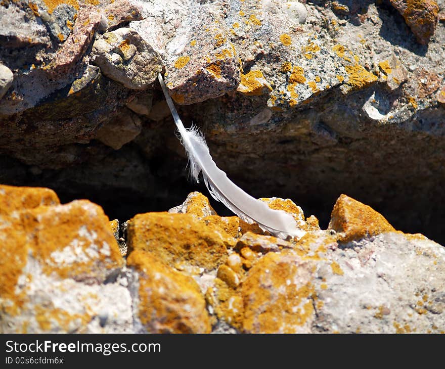 Bridge between rocks