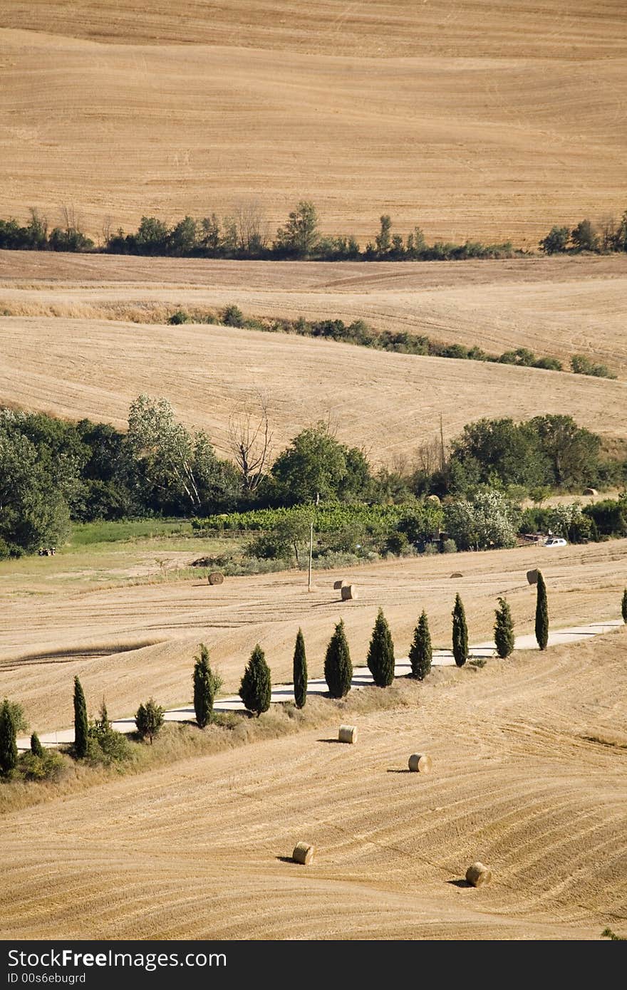 Tuscan countryside en italy central. Tuscan countryside en italy central