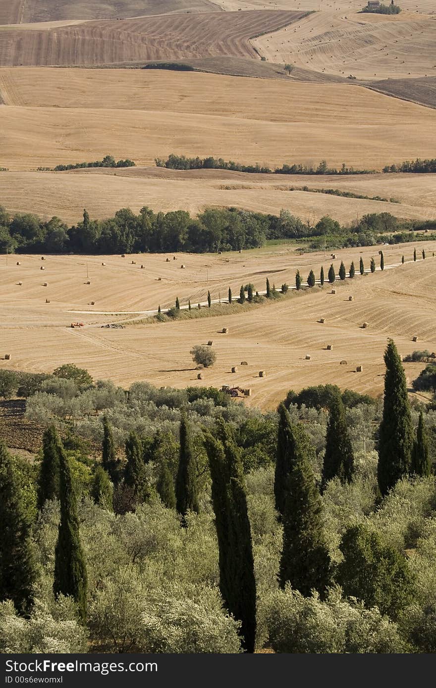 Tuscan countryside en italy central. Tuscan countryside en italy central