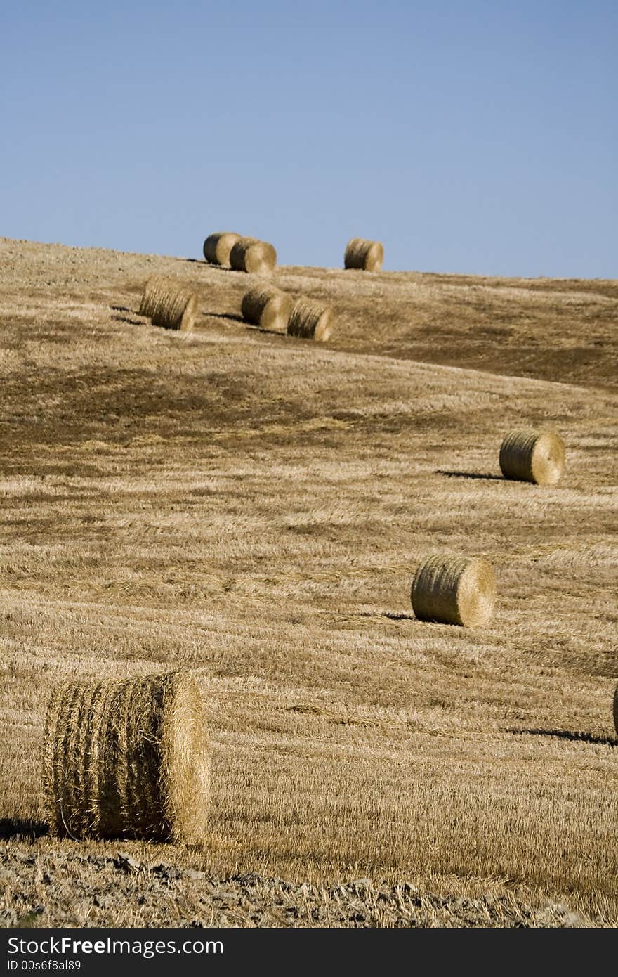 Tuscan countryside en italy central. Tuscan countryside en italy central