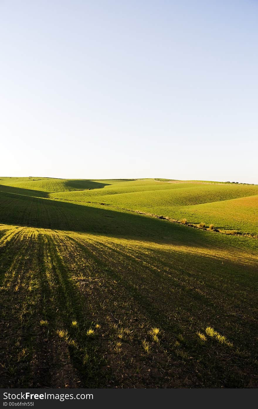 Undulate endless field in the afternoon light. Undulate endless field in the afternoon light